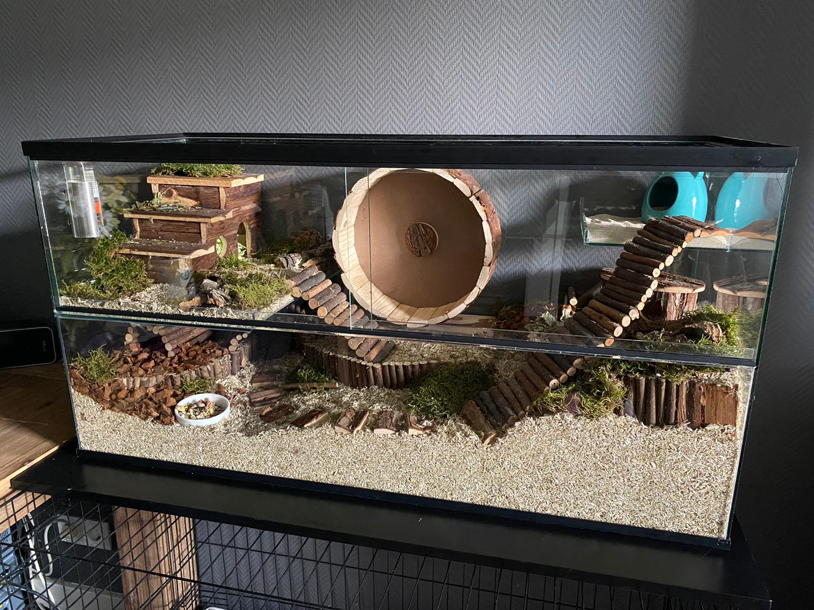Terrarium gevuld met ladders